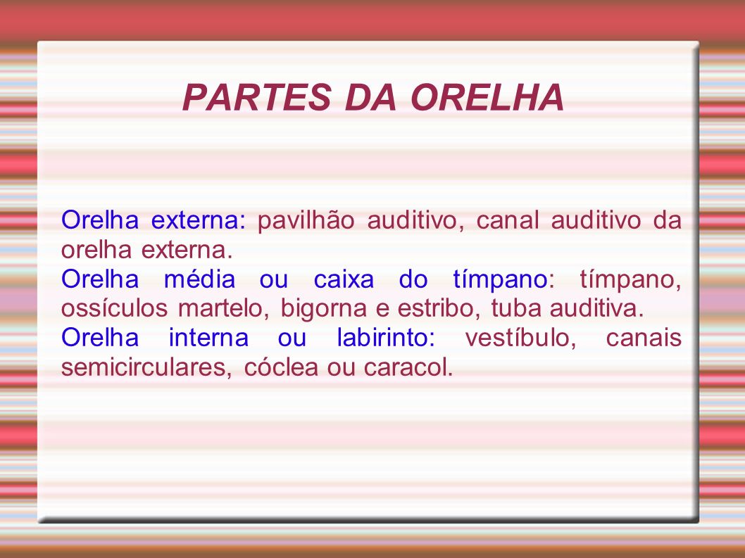 PARTES DA ORELHA Orelha externa: pavilhão auditivo, canal auditivo da orelha externa.