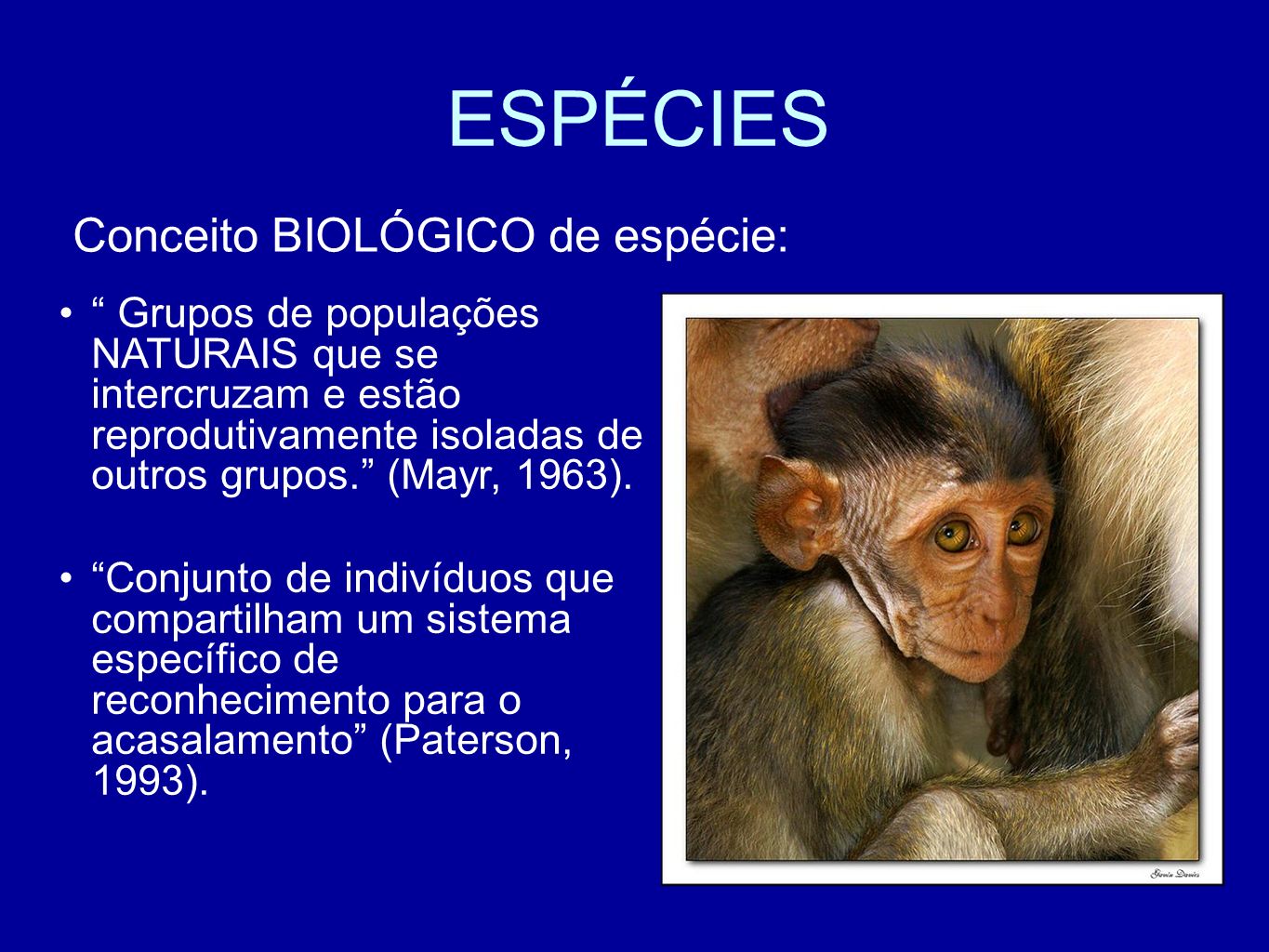 ESPÉCIES Conceito BIOLÓGICO de espécie: