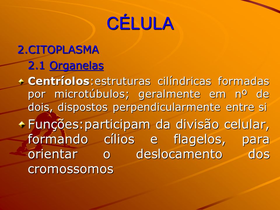 CÉLULA 2.CITOPLASMA. 2.1 Organelas.