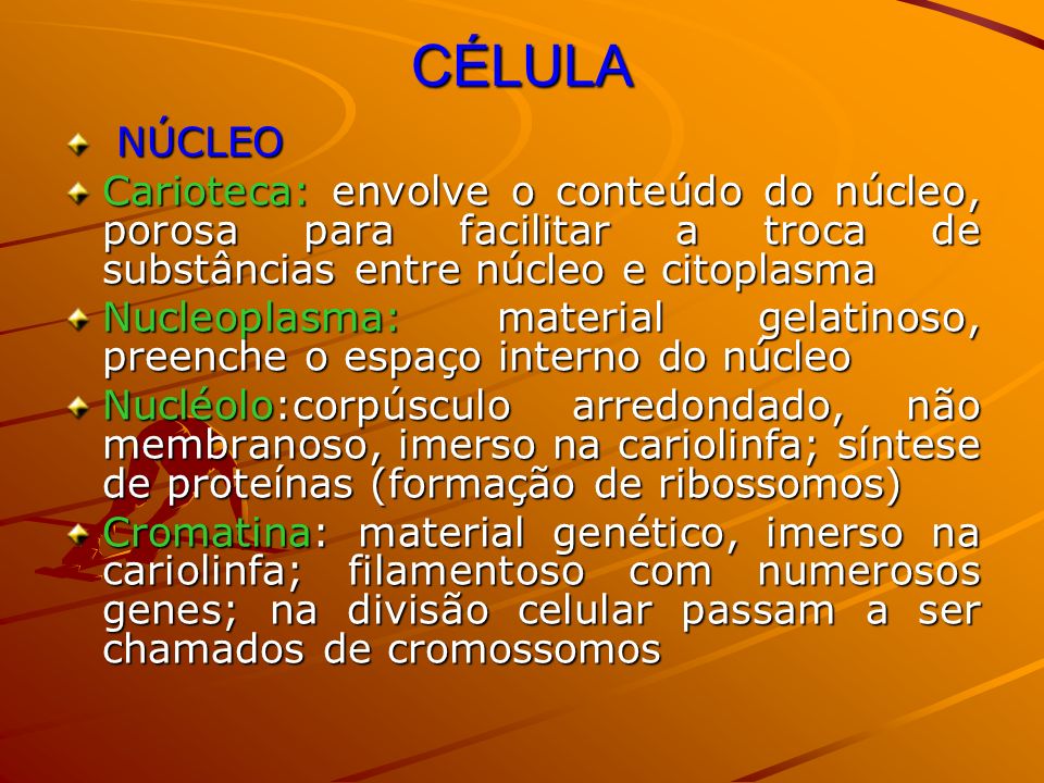 CÉLULA NÚCLEO. Carioteca: envolve o conteúdo do núcleo, porosa para facilitar a troca de substâncias entre núcleo e citoplasma.