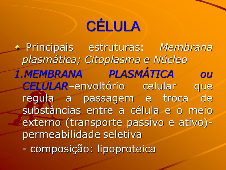CÉLULA Principais estruturas: Membrana plasmática; Citoplasma e Núcleo