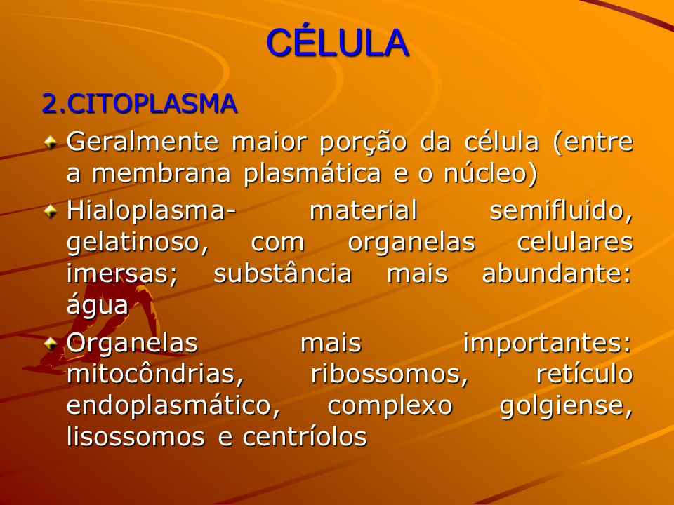 CÉLULA 2.CITOPLASMA. Geralmente maior porção da célula (entre a membrana plasmática e o núcleo)