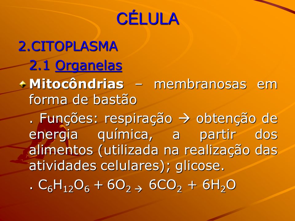 CÉLULA 2.CITOPLASMA 2.1 Organelas