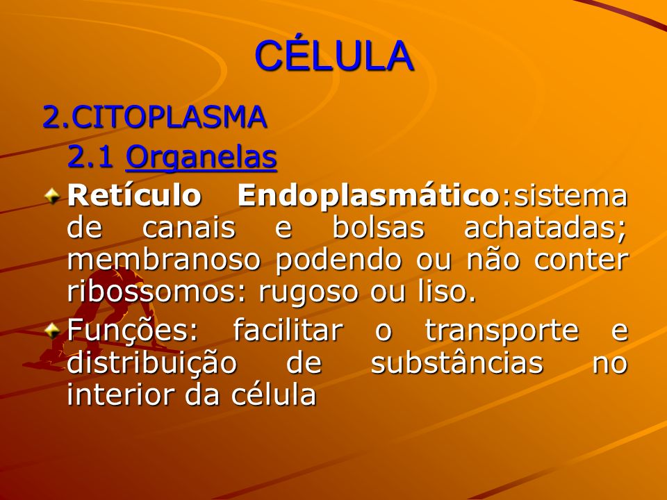 CÉLULA 2.CITOPLASMA 2.1 Organelas