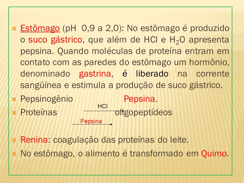 Proteínas oligopeptídeos Renina: coagulação das proteínas do leite.