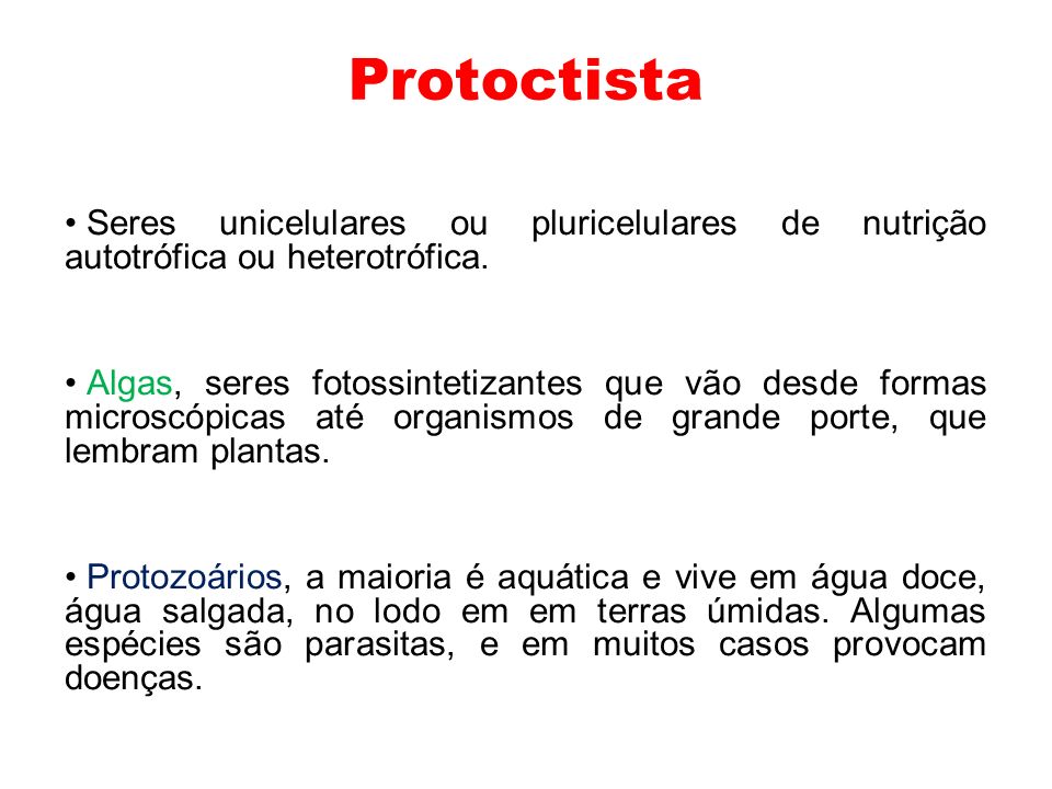 Protoctista Seres unicelulares ou pluricelulares de nutrição autotrófica ou heterotrófica.