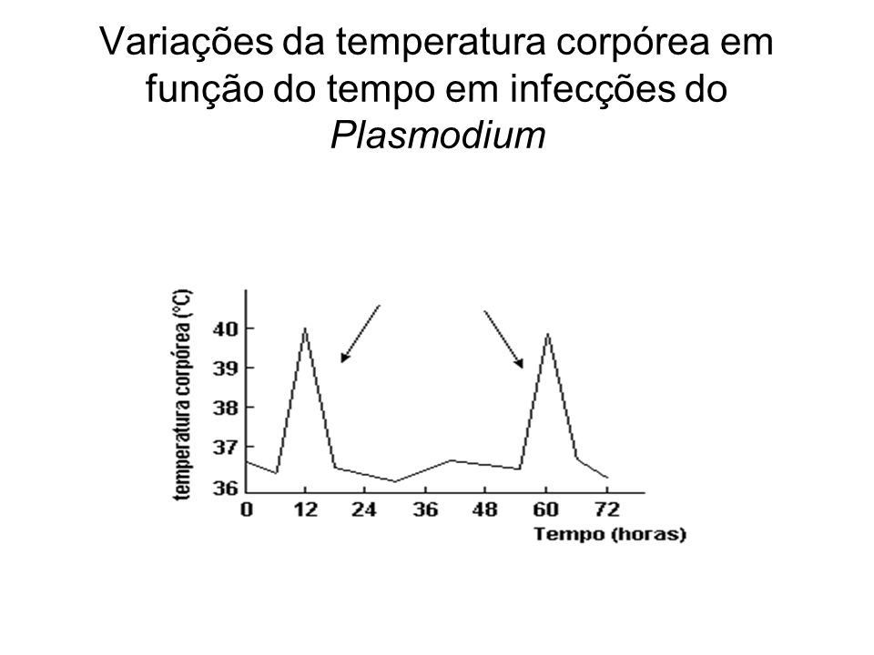 Variações da temperatura corpórea em função do tempo em infecções do Plasmodium