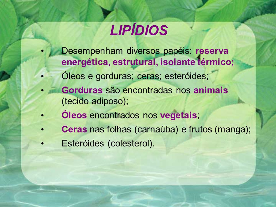 LIPÍDIOS Desempenham diversos papéis: reserva energética, estrutural, isolante térmico; Óleos e gorduras; ceras; esteróides;