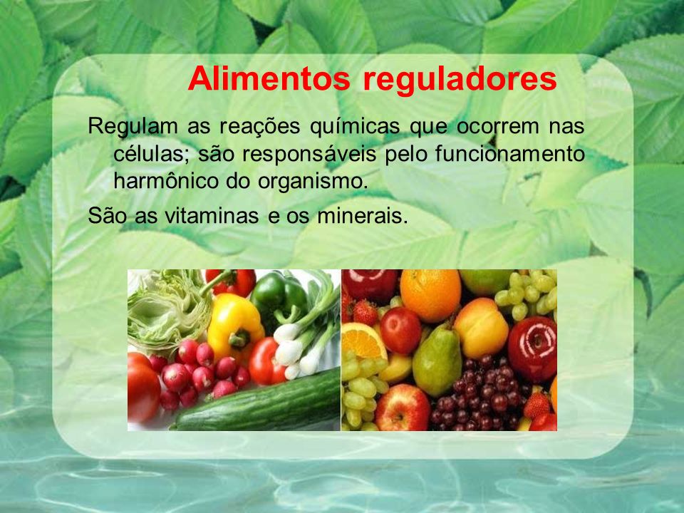 Alimentos reguladores