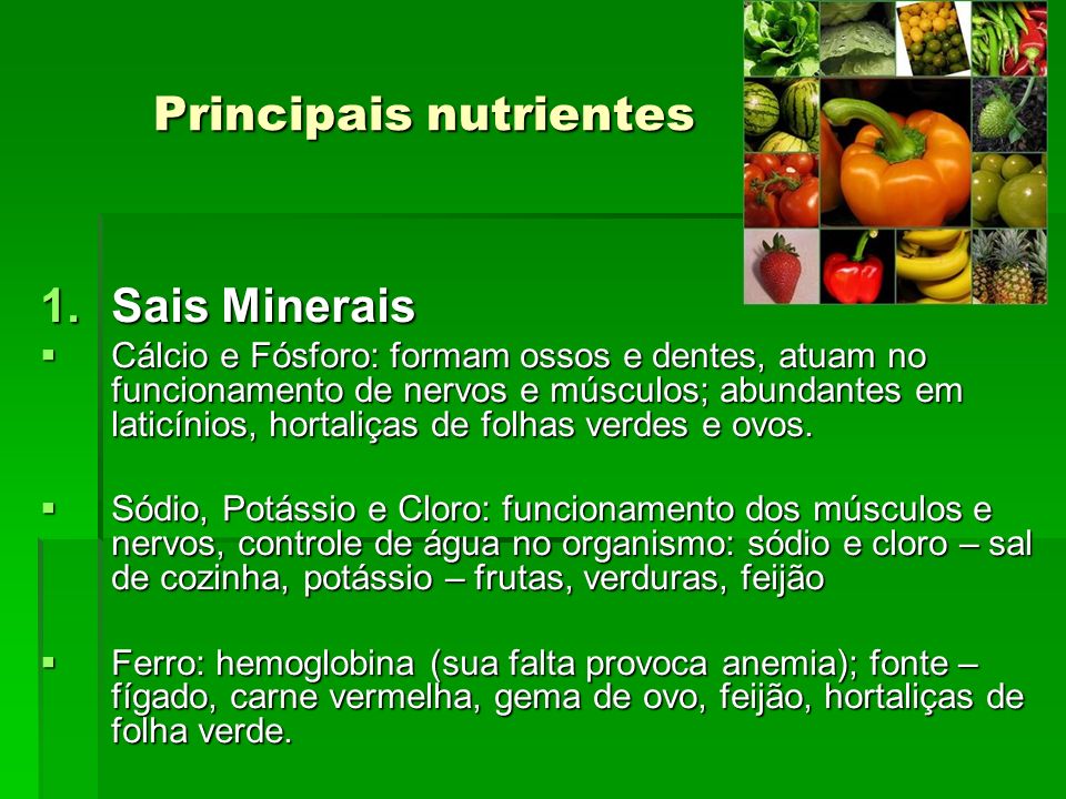 Principais nutrientes