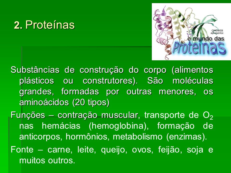 2. Proteínas