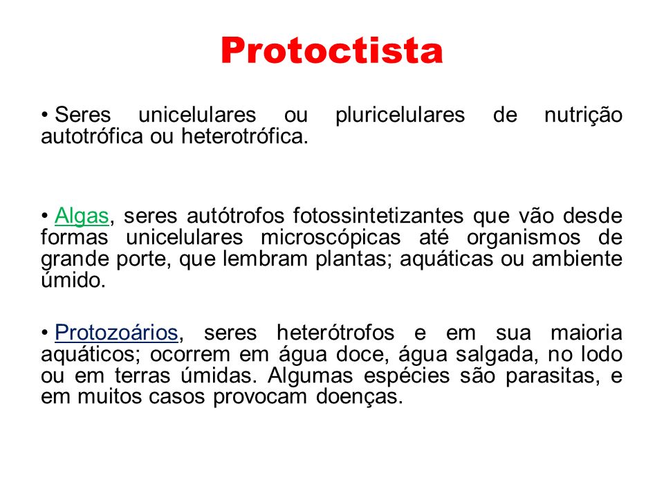 Protoctista Seres unicelulares ou pluricelulares de nutrição autotrófica ou heterotrófica.