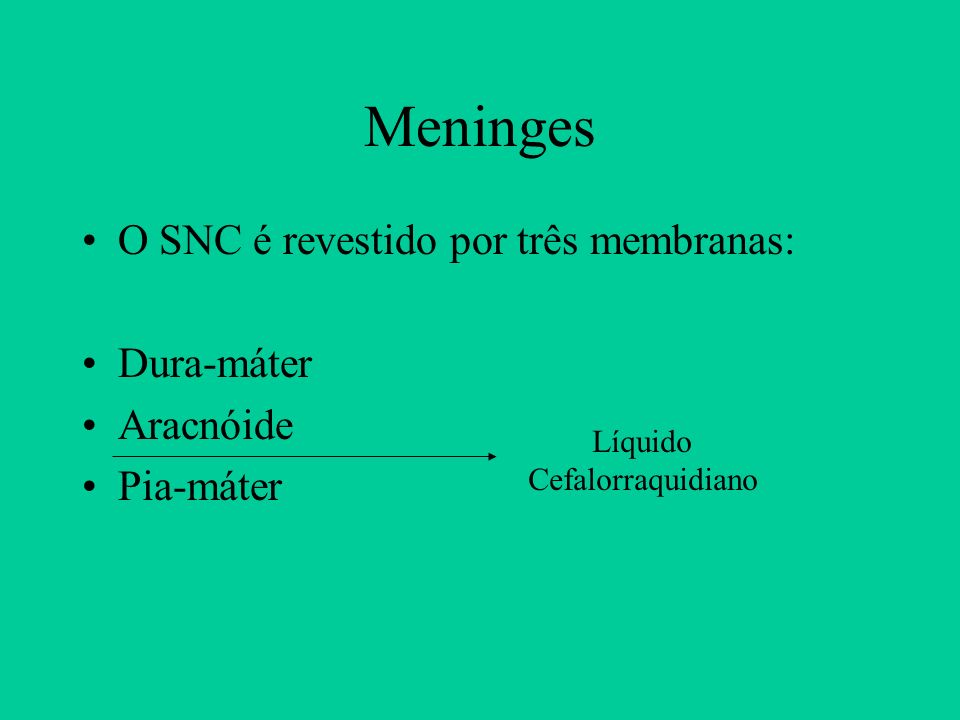 Meninges O SNC é revestido por três membranas: Dura-máter Aracnóide