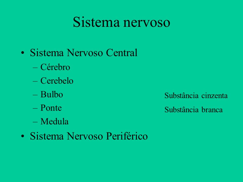 Sistema nervoso Sistema Nervoso Central Sistema Nervoso Periférico