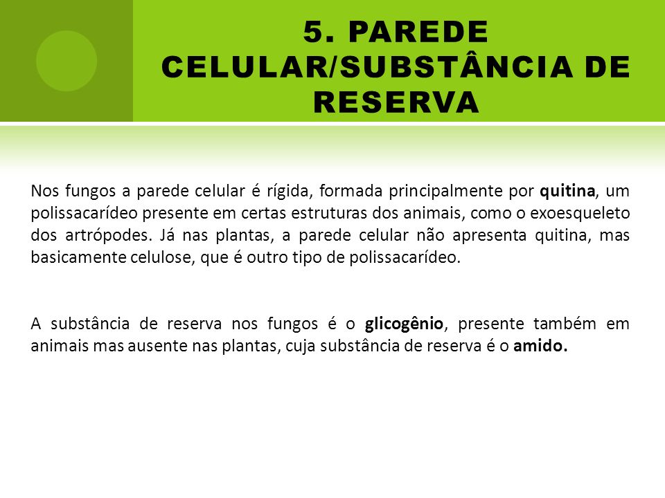 5. PAREDE CELULAR/SUBSTÂNCIA DE RESERVA