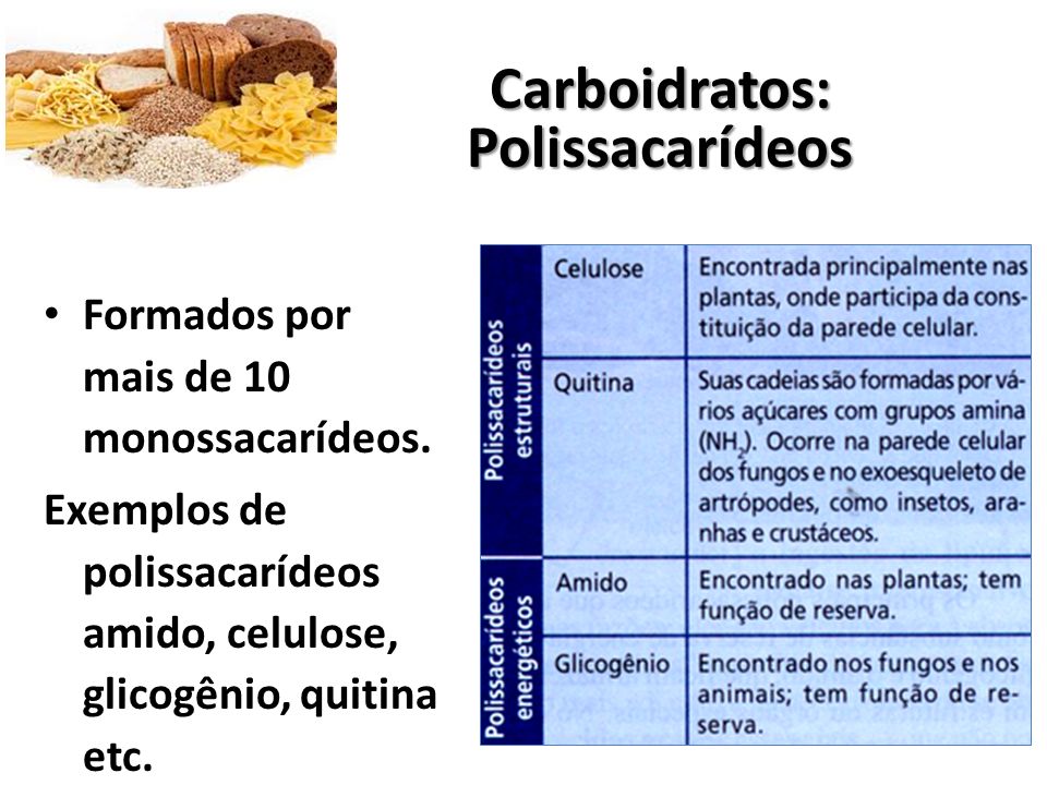 Carboidratos: Polissacarídeos
