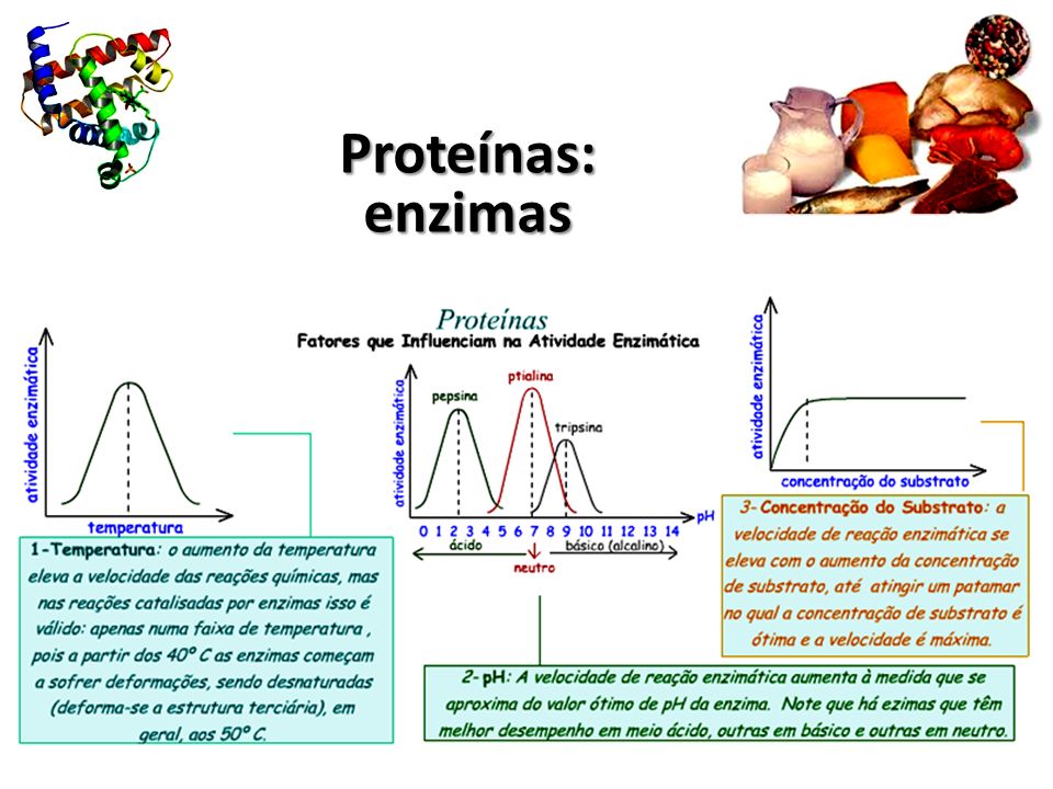 Proteínas: enzimas