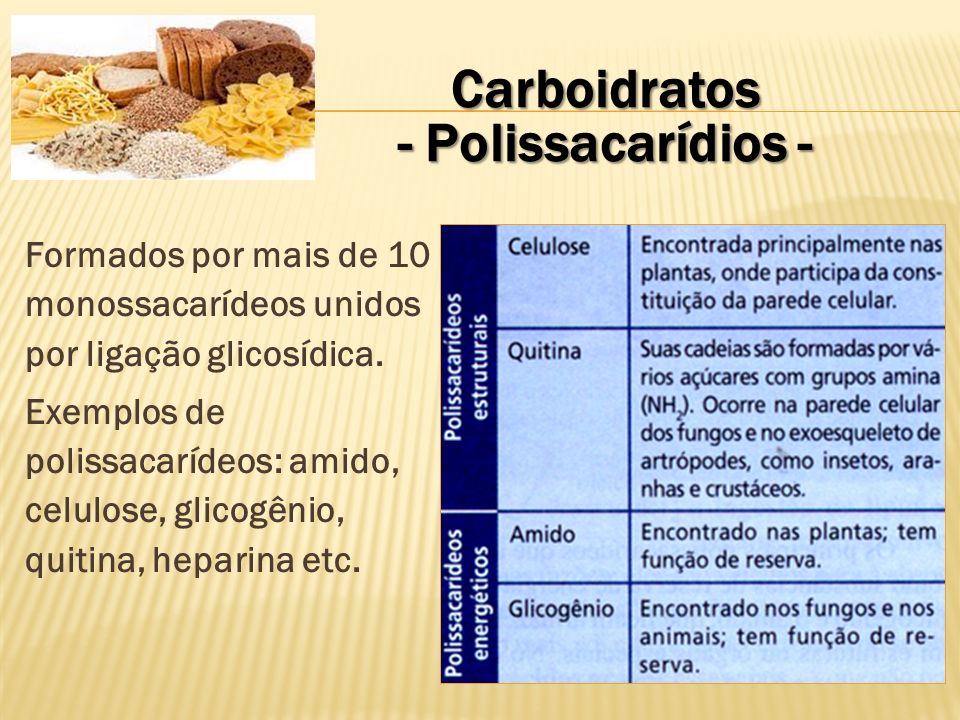 Carboidratos - Polissacarídios -