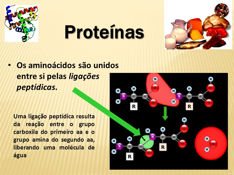 Proteínas Os aminoácidos são unidos entre si pelas ligações peptídicas.