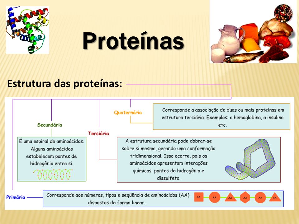 Proteínas Estrutura das proteínas:
