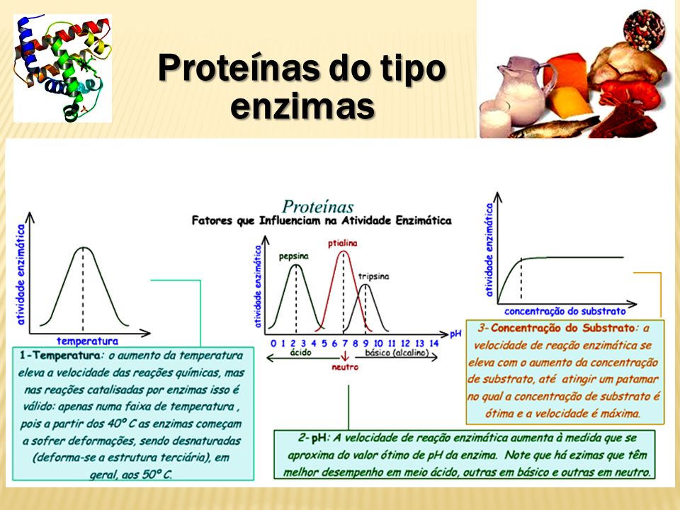 Proteínas do tipo enzimas