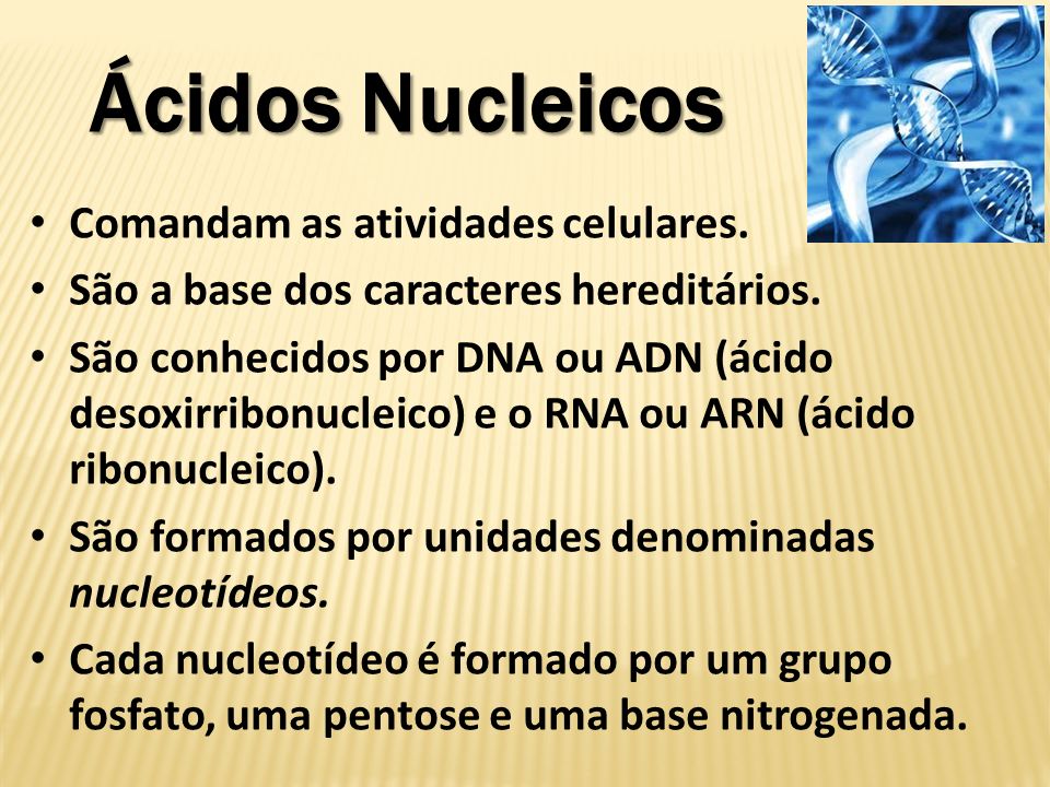 Ácidos Nucleicos Comandam as atividades celulares.