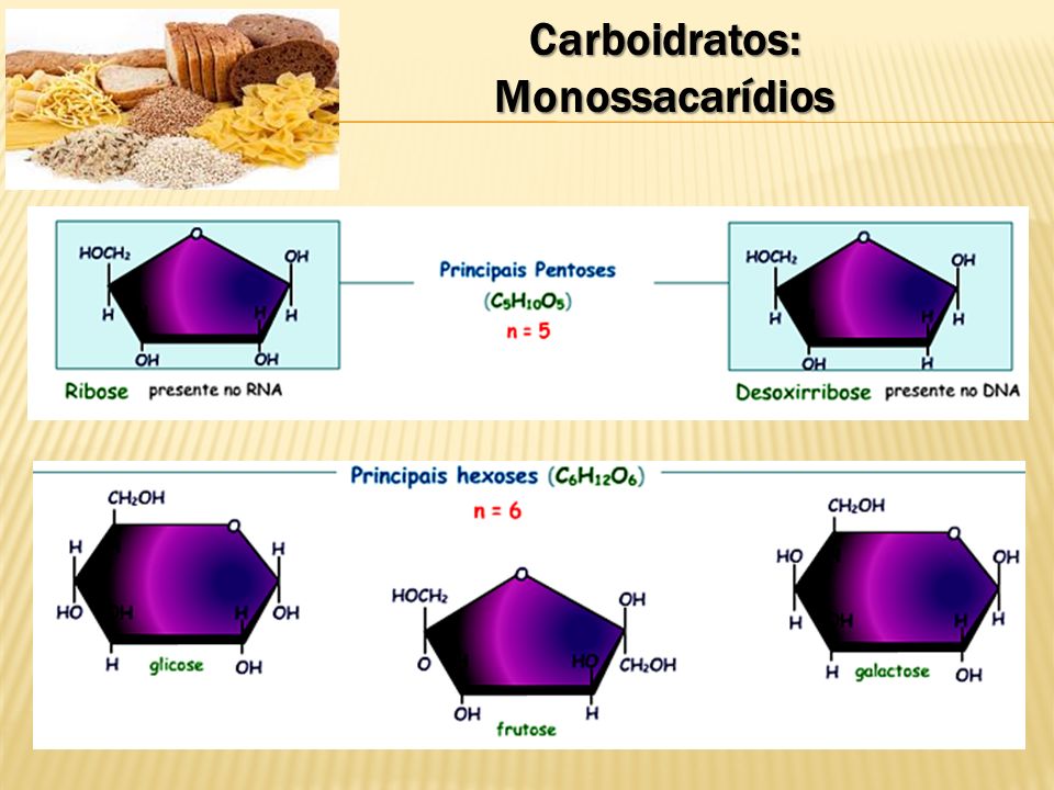 Carboidratos: Monossacarídios