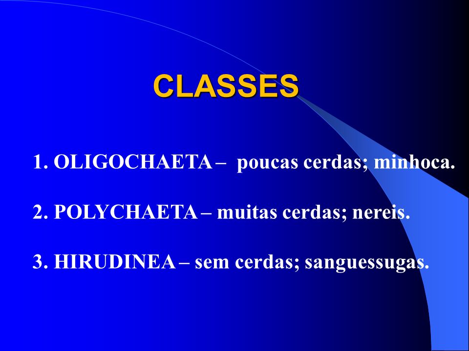 CLASSES 1. OLIGOCHAETA – poucas cerdas; minhoca.