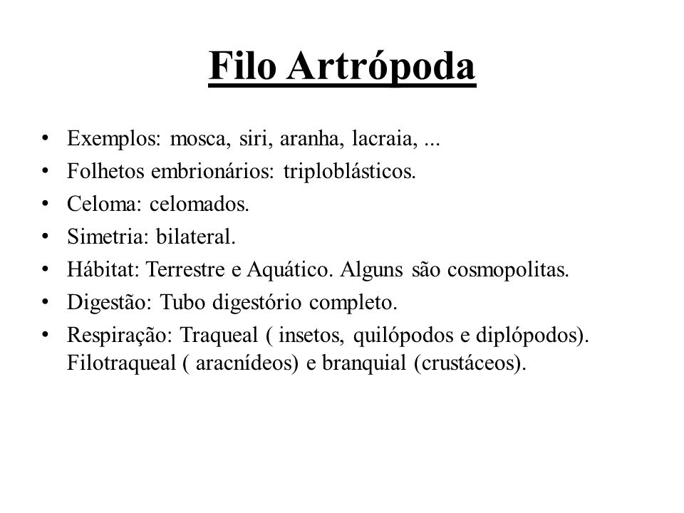 Filo Artrópoda Exemplos: mosca, siri, aranha, lacraia, ...