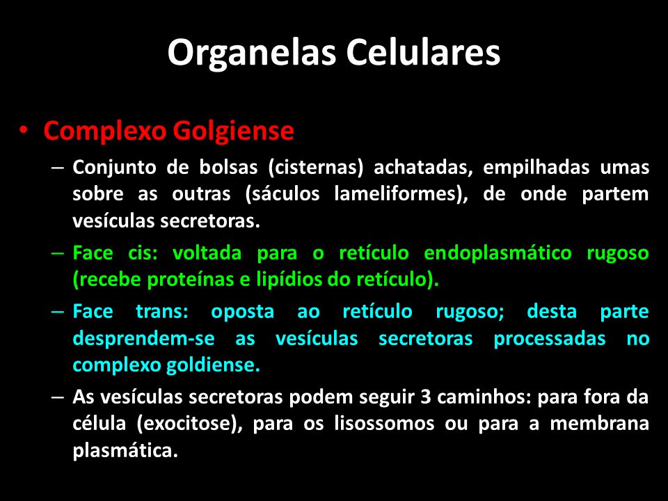 Organelas Celulares Complexo Golgiense
