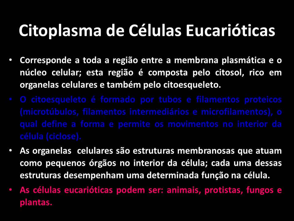 Citoplasma de Células Eucarióticas