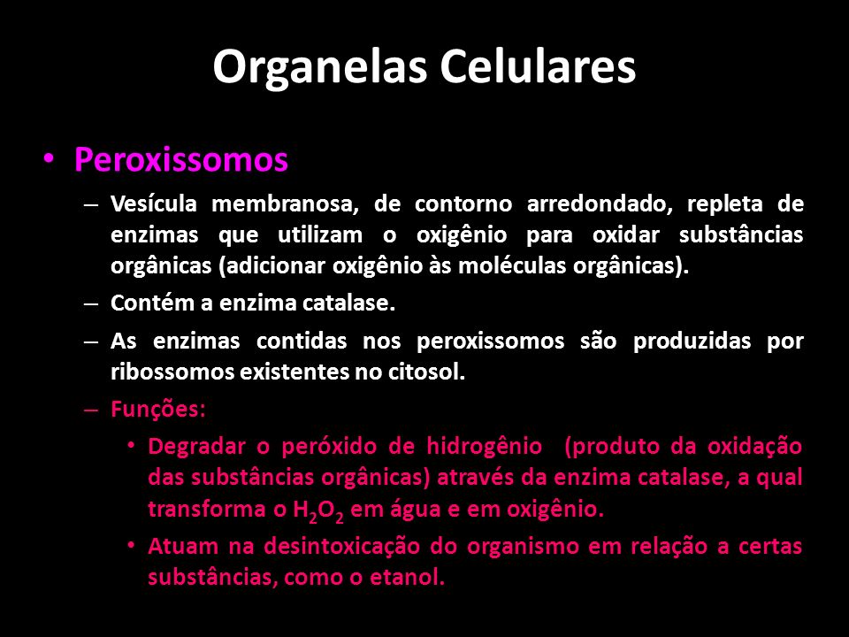 Organelas Celulares Peroxissomos