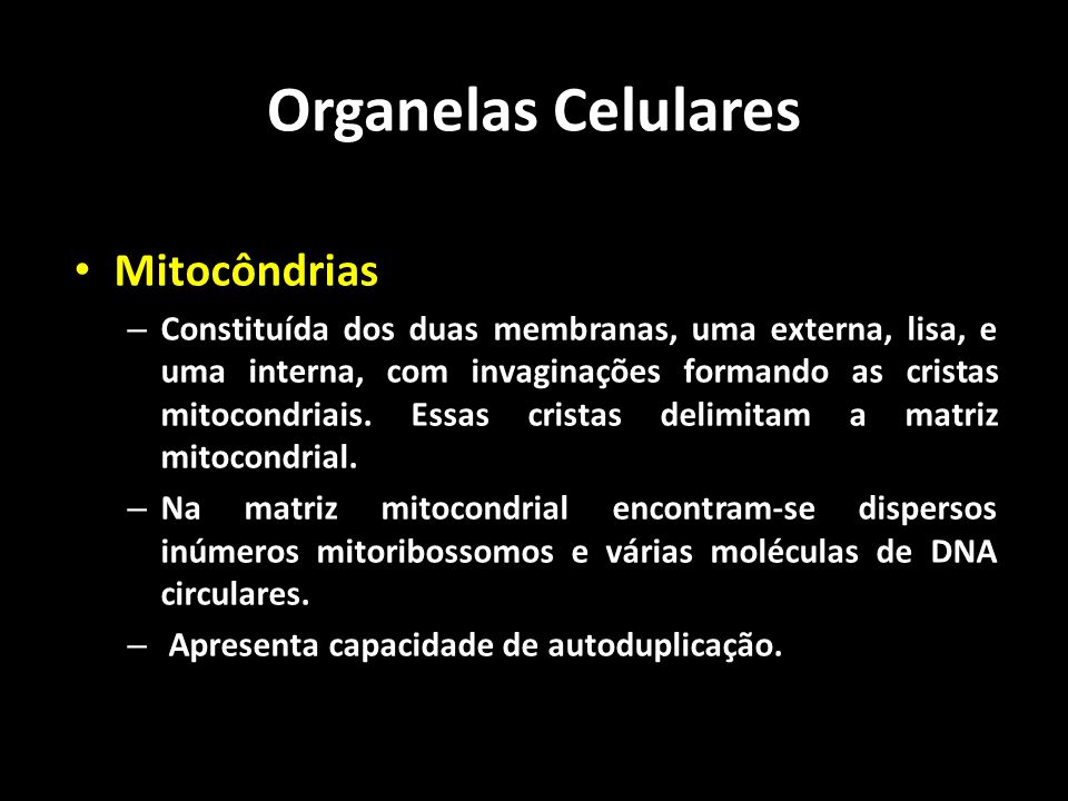Organelas Celulares Mitocôndrias