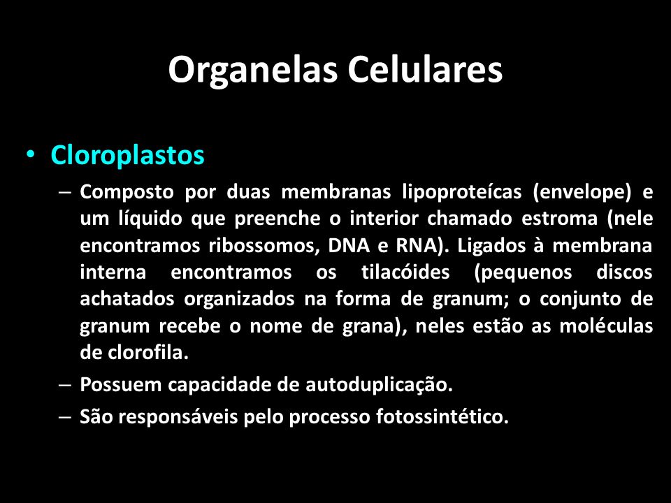 Organelas Celulares Cloroplastos