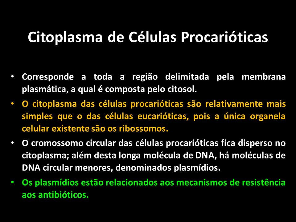 Citoplasma de Células Procarióticas