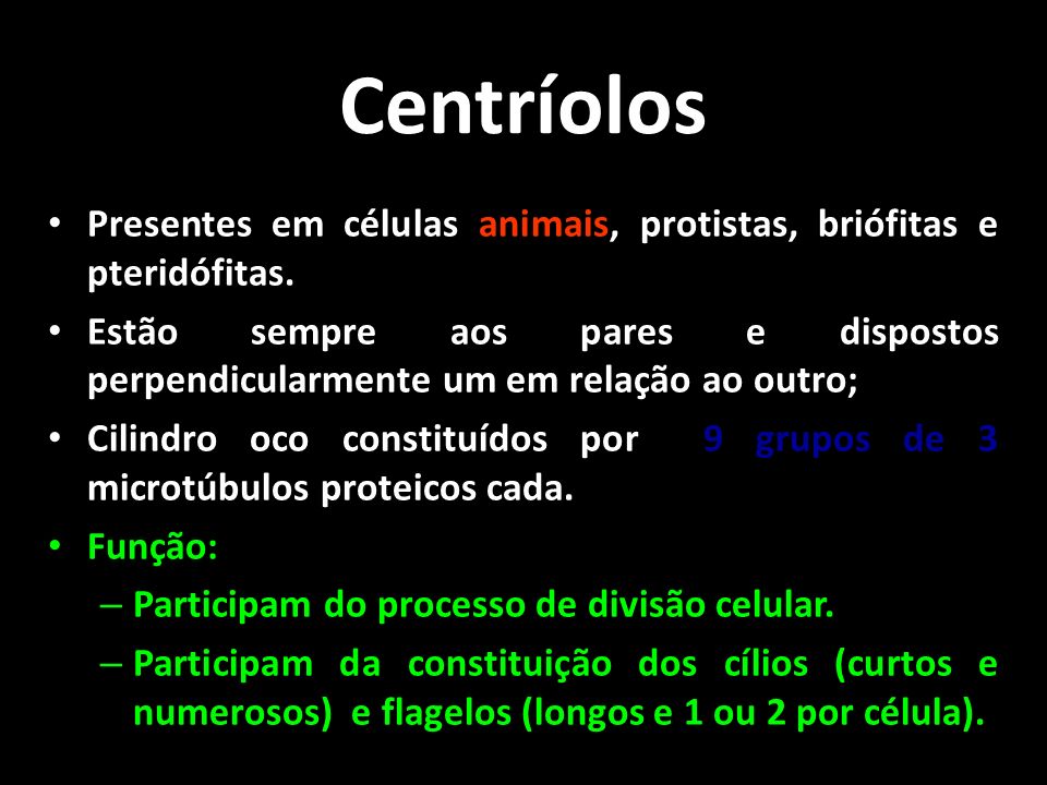 Centríolos Presentes em células animais, protistas, briófitas e pteridófitas.