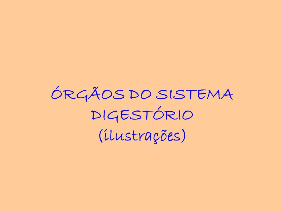 ÓRGÃOS DO SISTEMA DIGESTÓRIO (ilustrações)