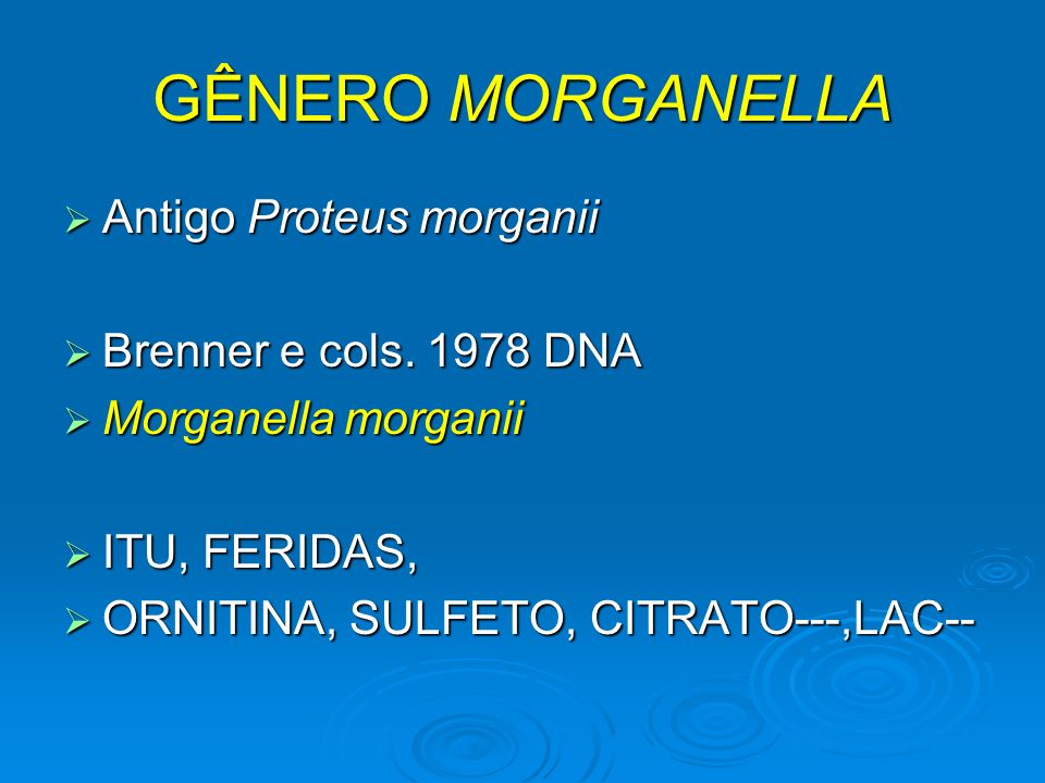 GÊNERO MORGANELLA Antigo Proteus morganii Brenner e cols DNA