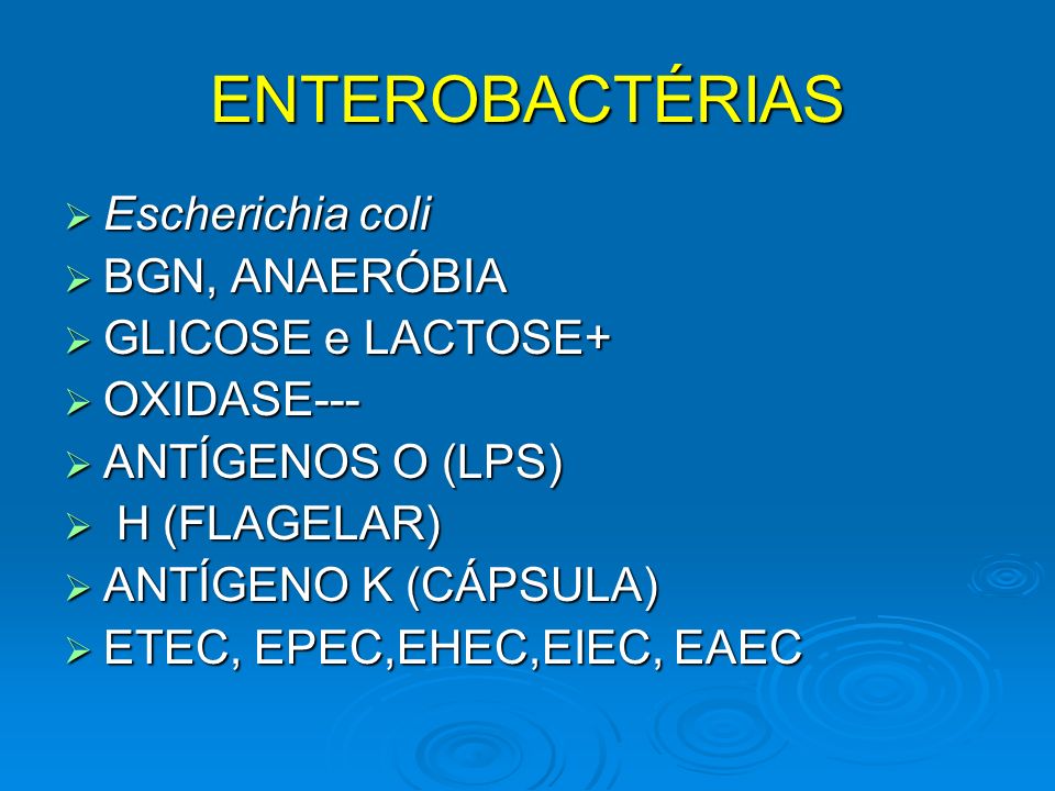 ENTEROBACTÉRIAS Escherichia coli BGN, ANAERÓBIA GLICOSE e LACTOSE+