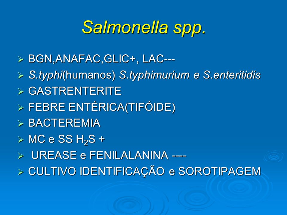 Salmonella spp. BGN,ANAFAC,GLIC+, LAC---