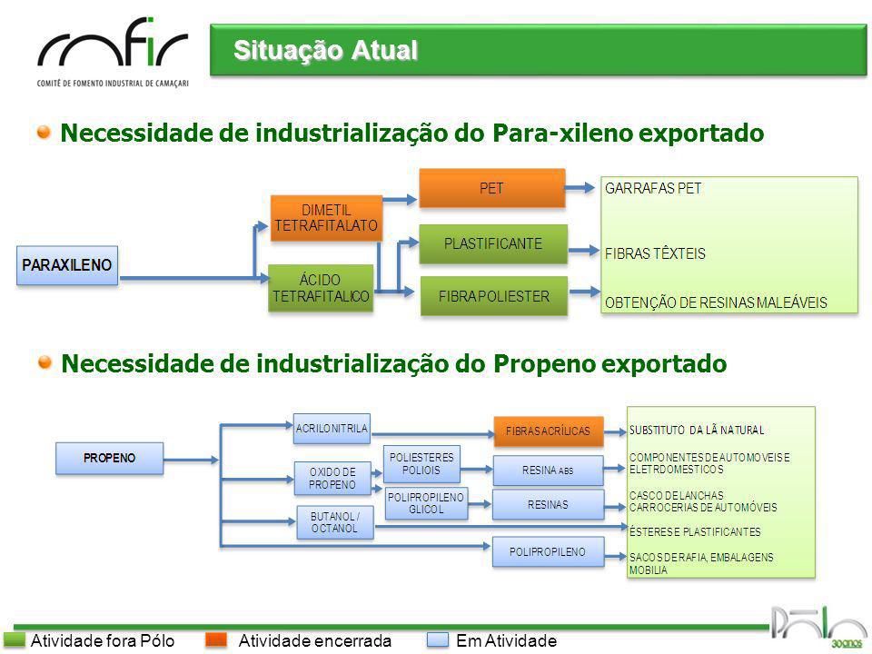 Situação Atual Necessidade de industrialização do Para-xileno exportado. Necessidade de industrialização do Propeno exportado.