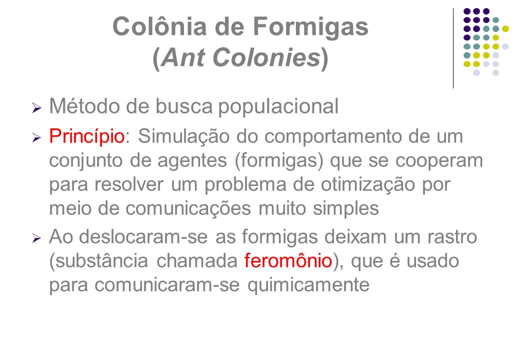 Colônia de Formigas (Ant Colonies)
