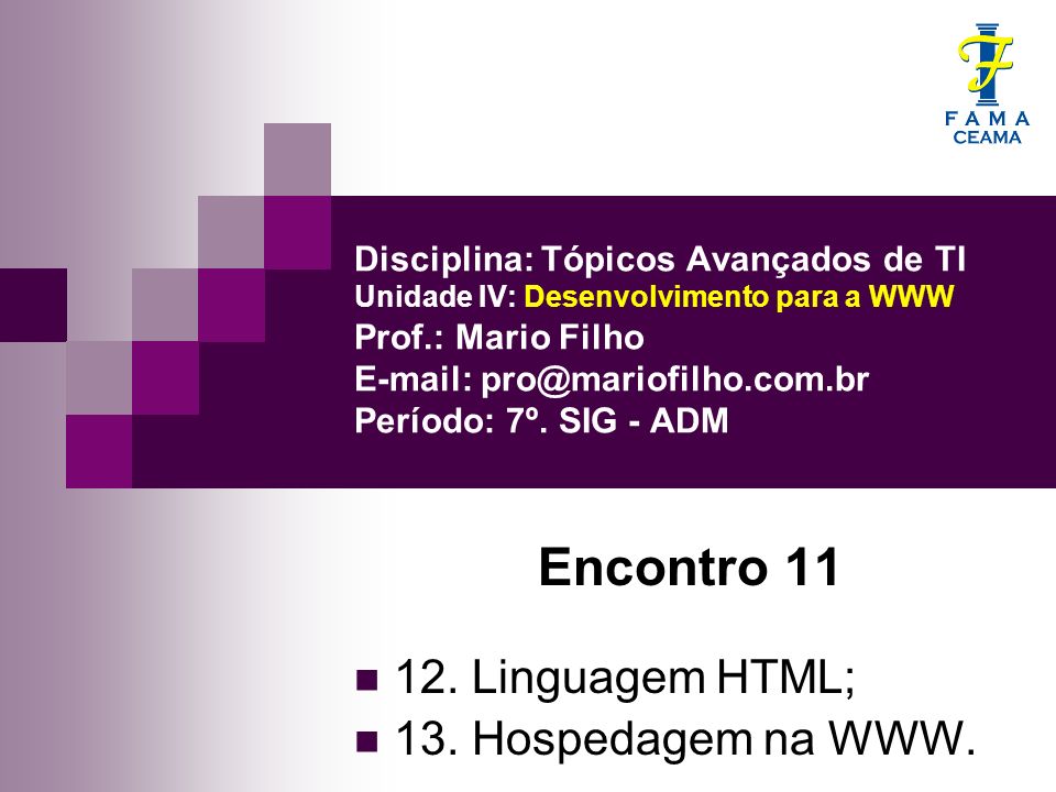 Encontro Linguagem HTML; 13. Hospedagem na WWW.