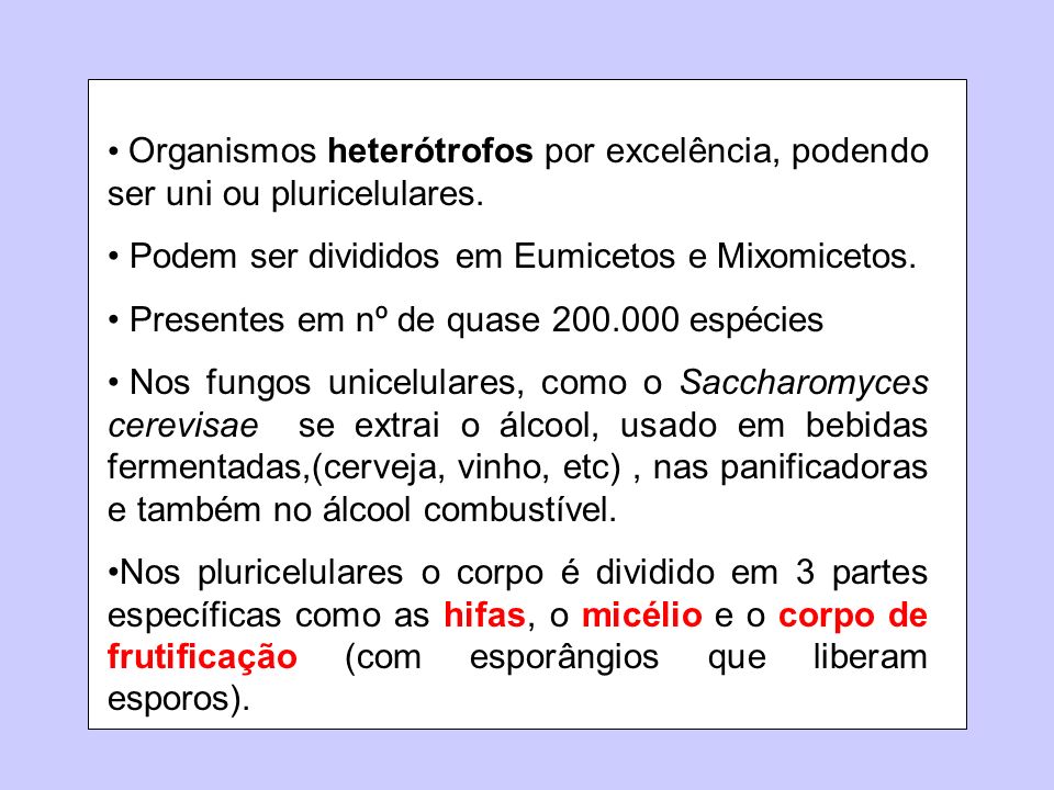 Organismos heterótrofos por excelência, podendo ser uni ou pluricelulares.