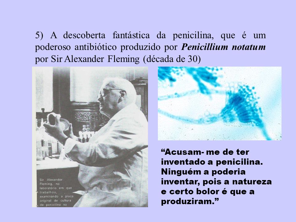 5) A descoberta fantástica da penicilina, que é um poderoso antibiótico produzido por Penicillium notatum por Sir Alexander Fleming (década de 30)