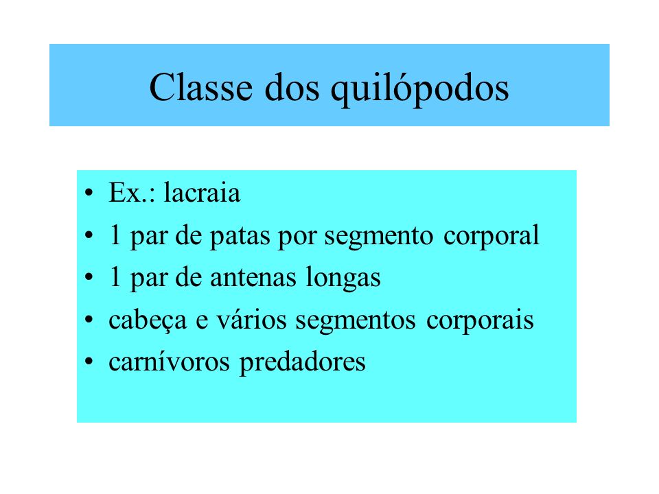 Classe dos quilópodos Ex.: lacraia