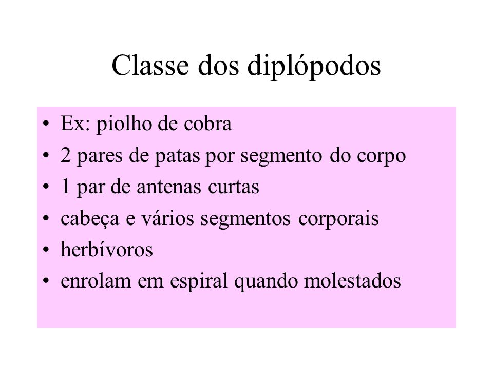 Classe dos diplópodos Ex: piolho de cobra
