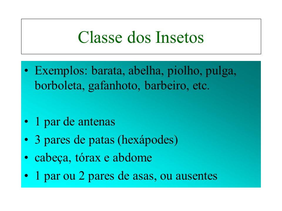 Classe dos Insetos Exemplos: barata, abelha, piolho, pulga, borboleta, gafanhoto, barbeiro, etc. 1 par de antenas.