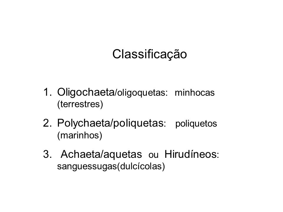 Classificação Oligochaeta/oligoquetas: minhocas (terrestres)