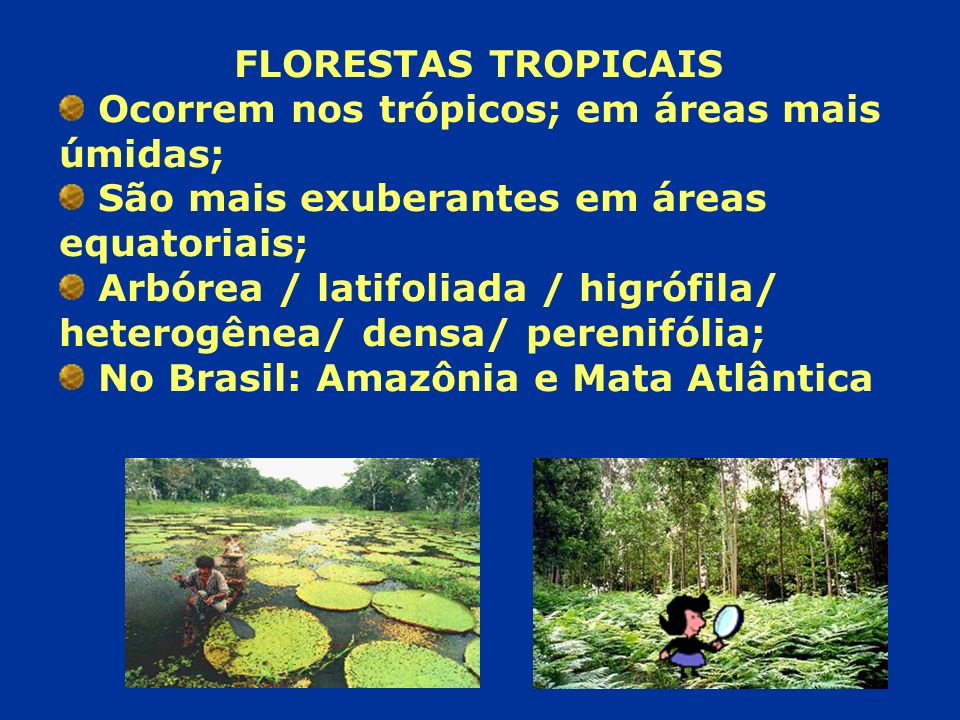 FLORESTAS TROPICAIS Ocorrem nos trópicos; em áreas mais úmidas; São mais exuberantes em áreas equatoriais;